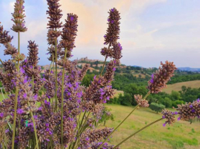 Casa Nonna Dilia
